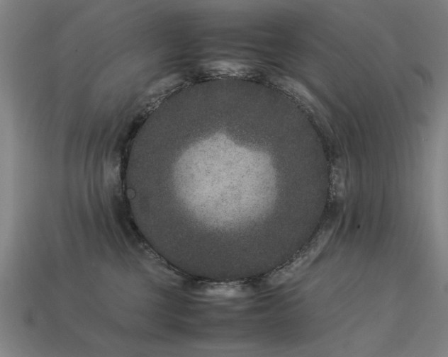 X0000113950377200909251344