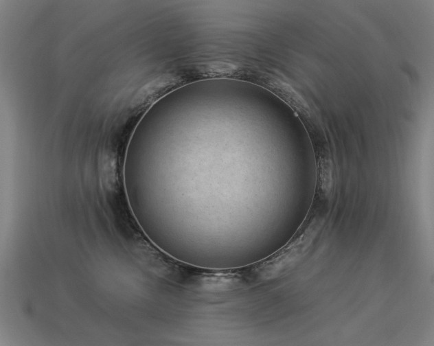 X0000113950378200909251344