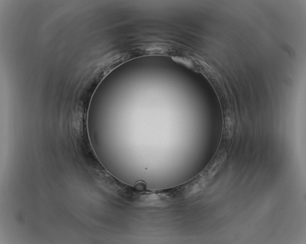 X0000113950379200909251344