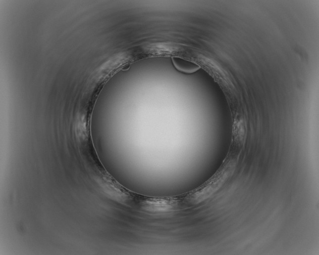 X0000113950381200909251344