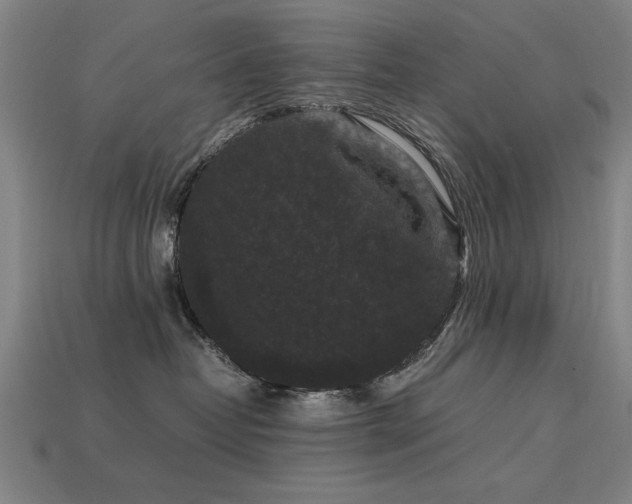 X0000113950382200909251344