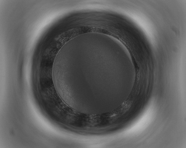 X0000113950383200909251344