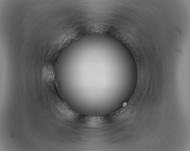 X0000113950384200909251344