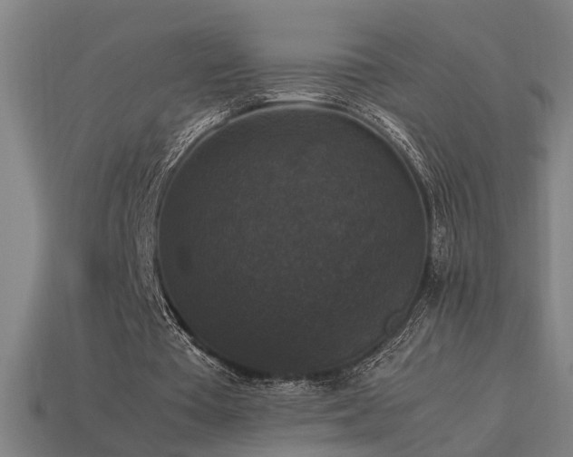 X0000113950385200909251343