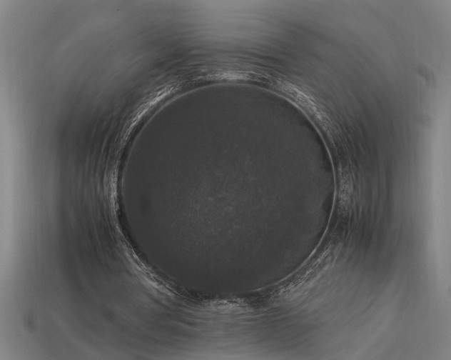 X0000113950386200909251343