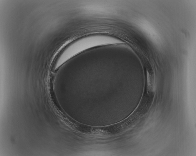 X0000113950387200909251343