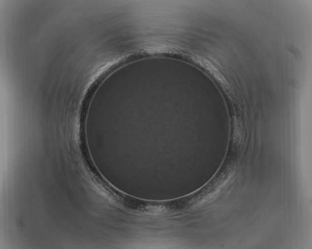 X0000113950391200909251343