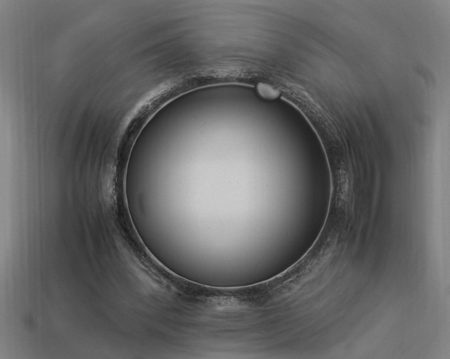 X0000113950392200909251343