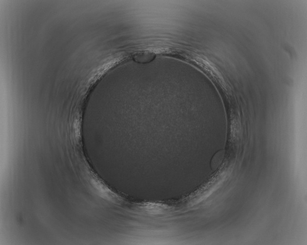 X0000113950393200909251343