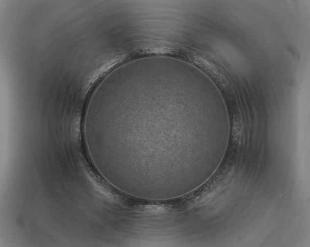 X0000113950394200909251343