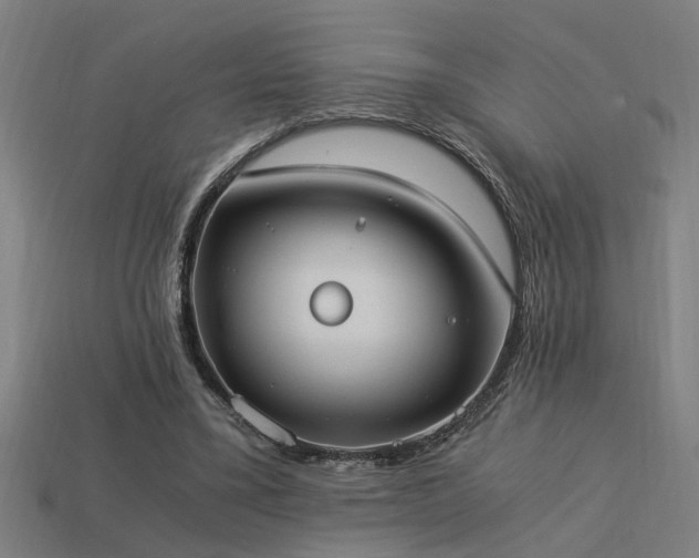 X0000113950395200909251343