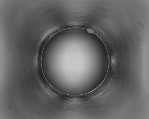 X0000113950396200909251343
