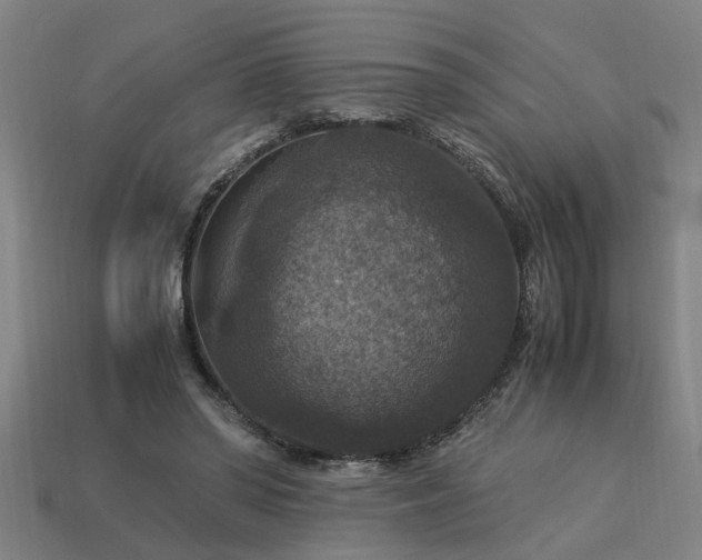 X0000113950398200909251343