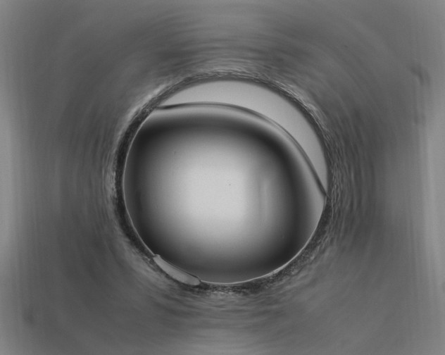 X0000113950399200909251343