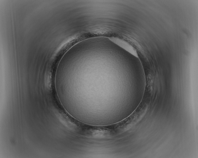 X0000113950400200909251343