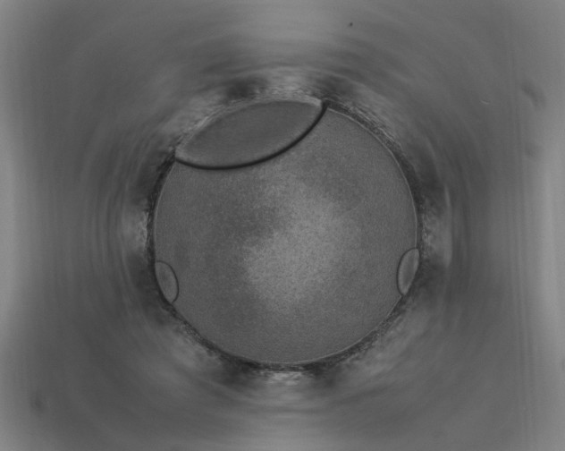 X0000113950401200909251343