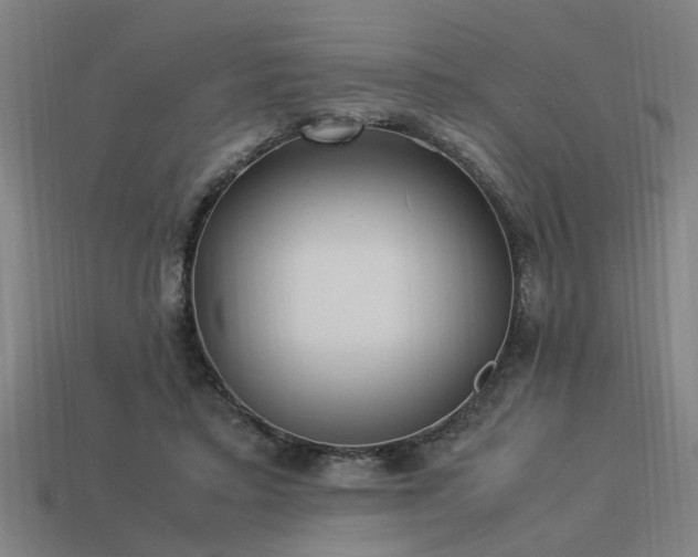 X0000113950403200909251343