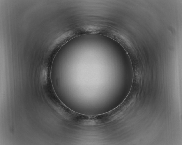 X0000113950404200909251343