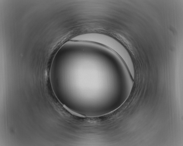 X0000113950405200909251343