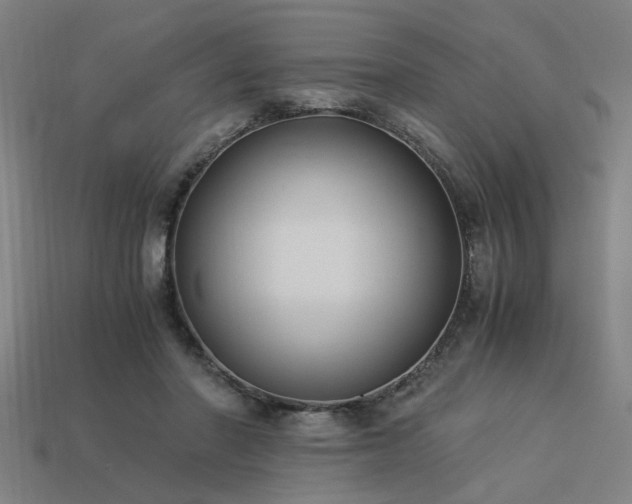 X0000113950406200909251343