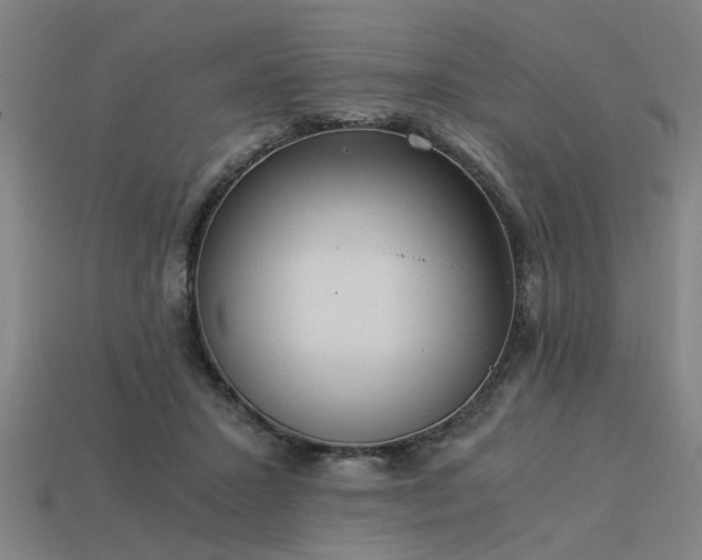 X0000113950407200909251343