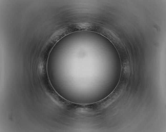 X0000113950408200909251343