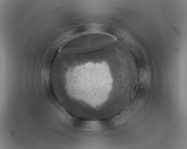 X0000113950409200909251343