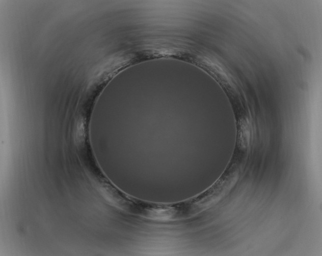 X0000113950410200909251343