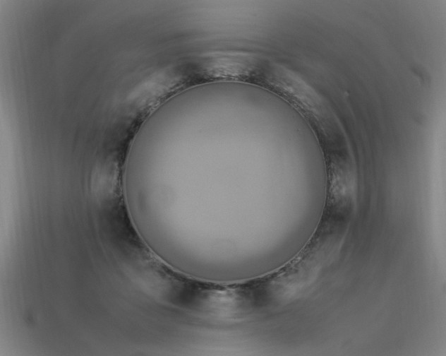 X0000113950411200909251343