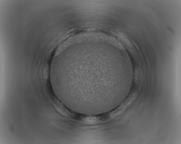 X0000113950413200909251343
