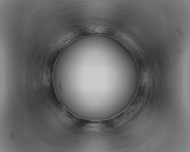 X0000113950414200909251343