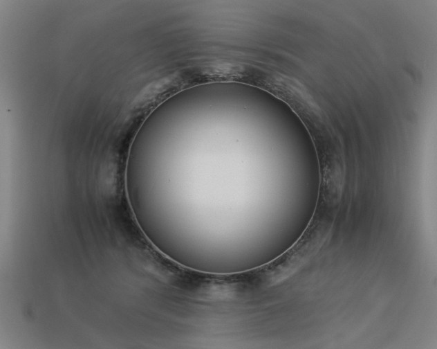 X0000113950416200909251343