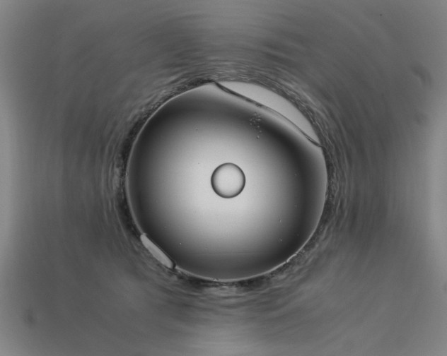 X0000113950417200909251343