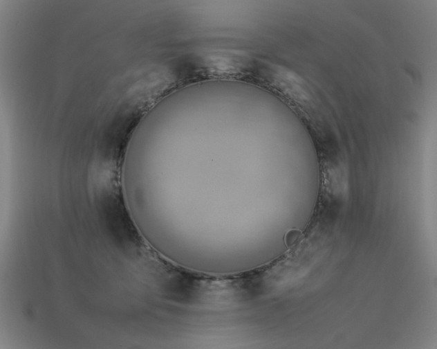X0000113950419200909251343
