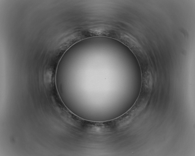 X0000113950420200909251343