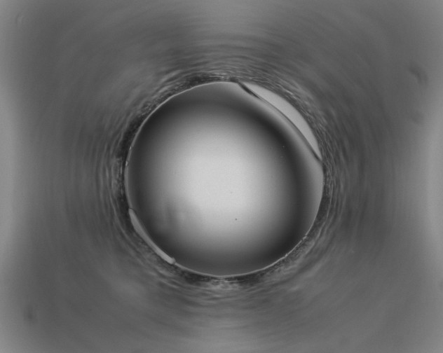 X0000113950421200909251343