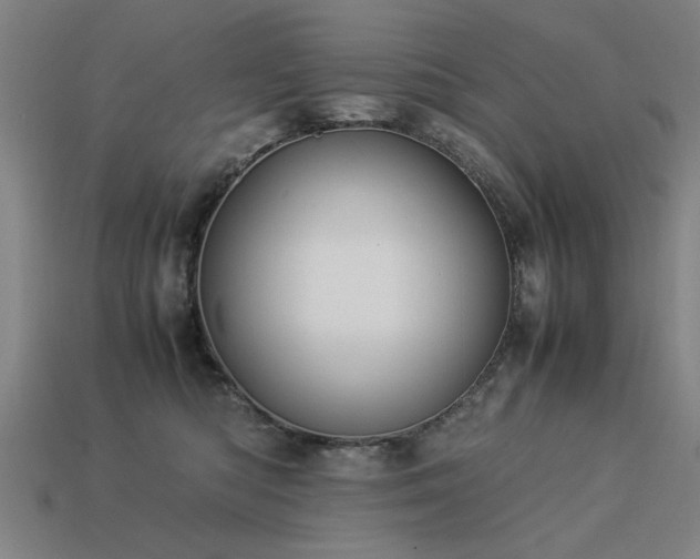 X0000113950422200909251343