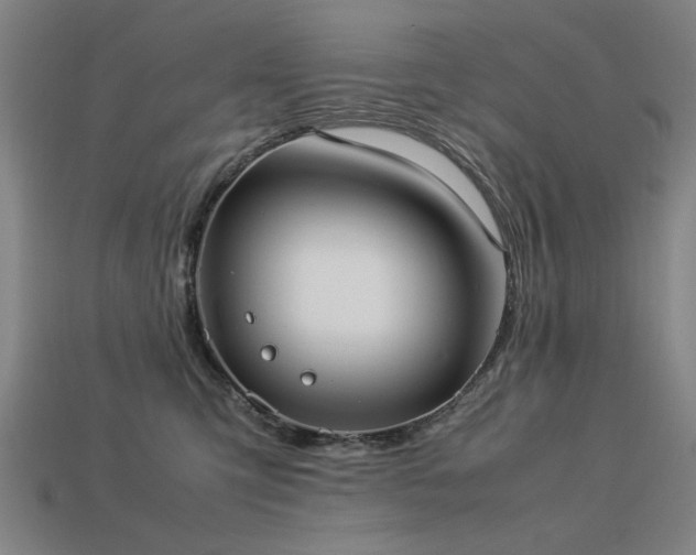 X0000113950423200909251343