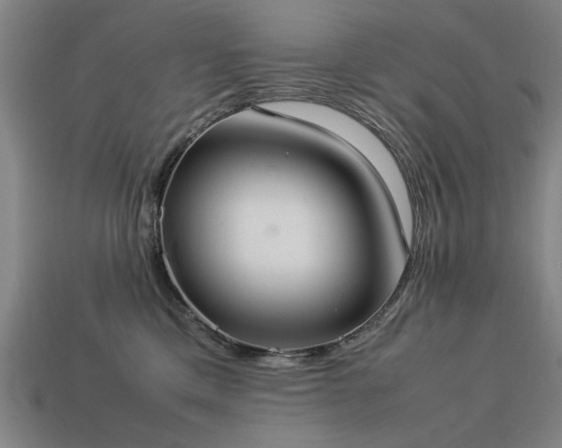 X0000113950425200909251343