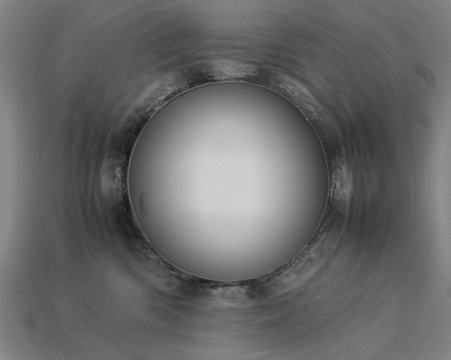 X0000113950426200909251343