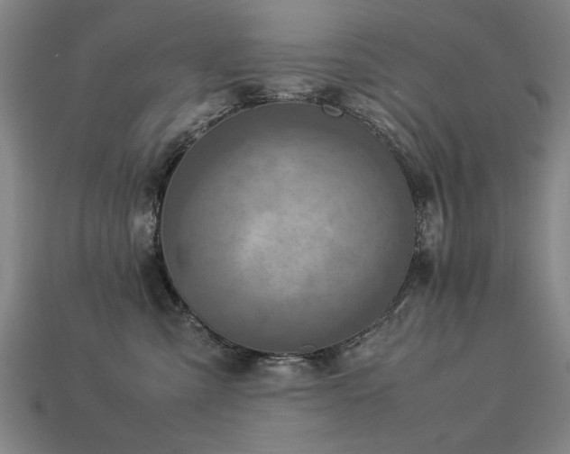 X0000113950427200909251343