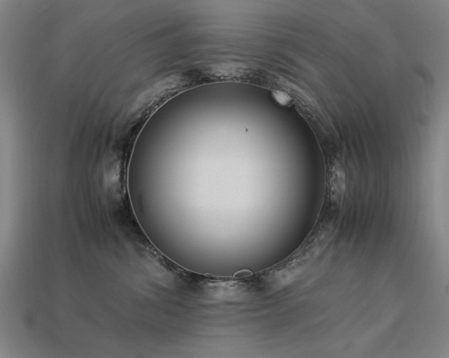 X0000113950428200909251343