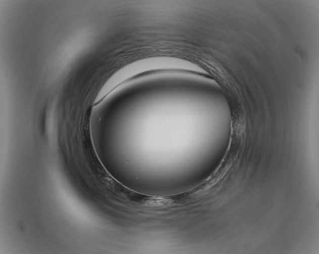 X0000113950429200909251343