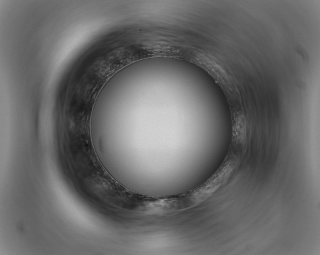 X0000113950430200909251343