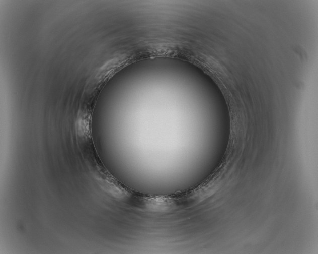 X0000113950432200909251342