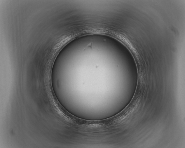X0000113950433200909251342