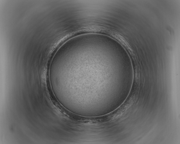 X0000113950434200909251342