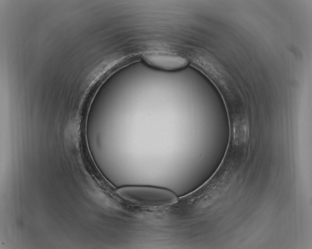 X0000113950436200909251342
