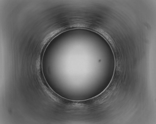X0000113950437200909251342