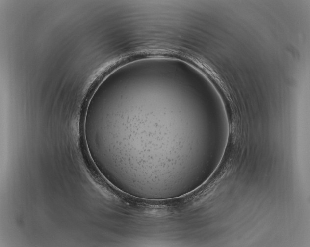 X0000113950438200909251342